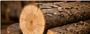 Holz als Rohstoff
